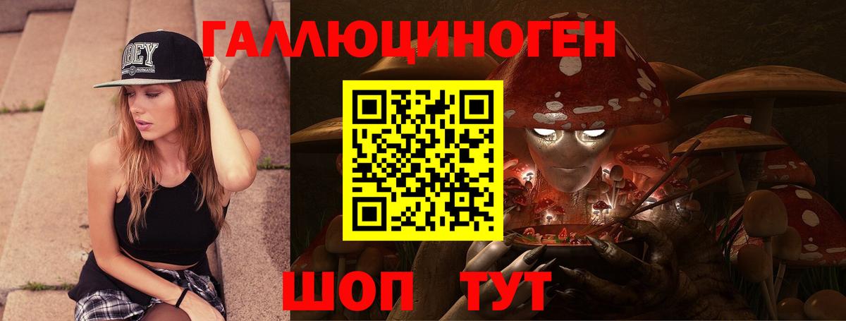 Галлюциногенные грибы Psilocybine cubensis  Вход с VPN  Муром 